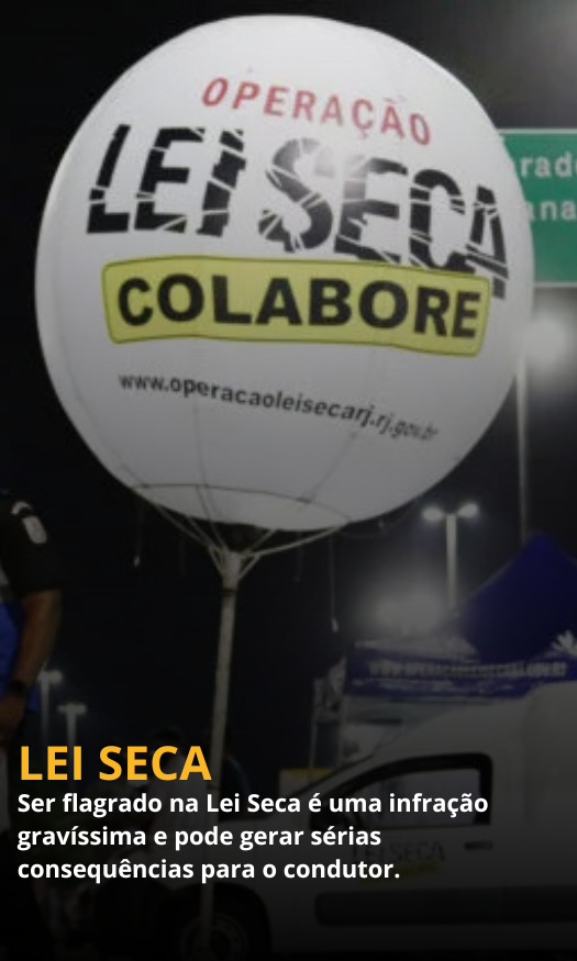 LEI SECA